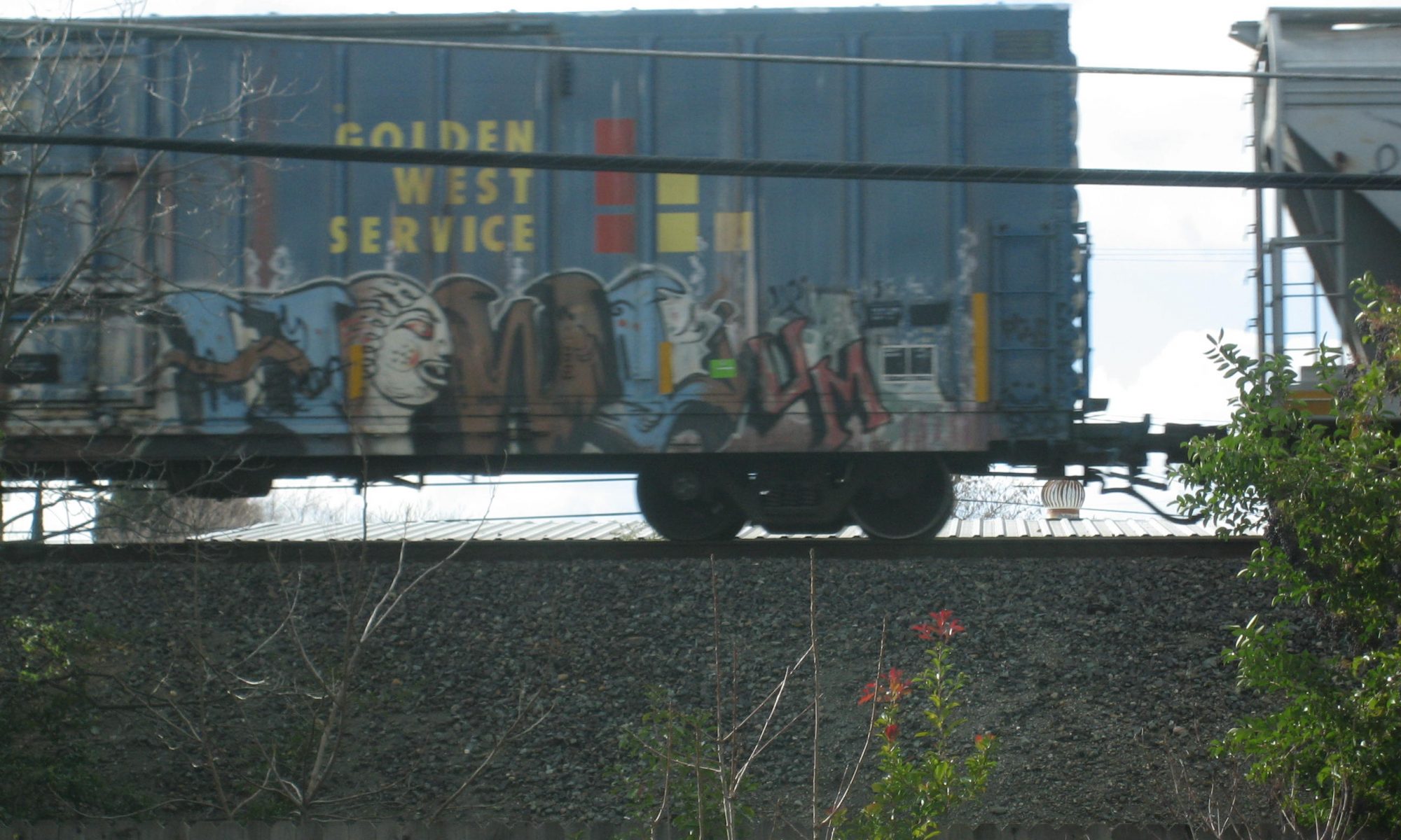 Freight train with graffiti rolling past the Dittmar Post